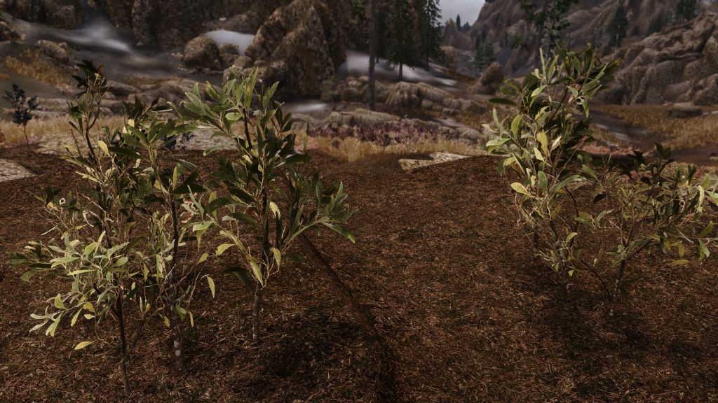 Мод Skyrim 3D Landscapes включает более 90 высококачественных 3D-моделей деревьев, цветов и растений