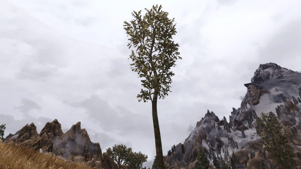 Мод Skyrim 3D Landscapes включает более 90 высококачественных 3D-моделей деревьев, цветов и растений