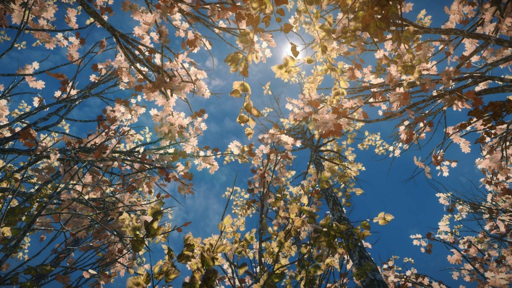Новая версия мода 3D Trees and Plants для Skyrim доступна для скачивания