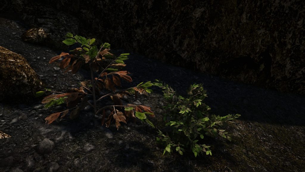 Новая версия мода 3D Trees and Plants для Skyrim доступна для скачивания