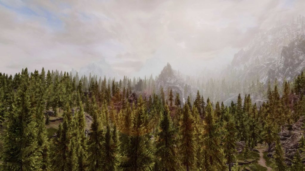 Мод Enhanced Landscapes для Skyrim улучшает пейзажи при помощи добавления тысяч объектов
