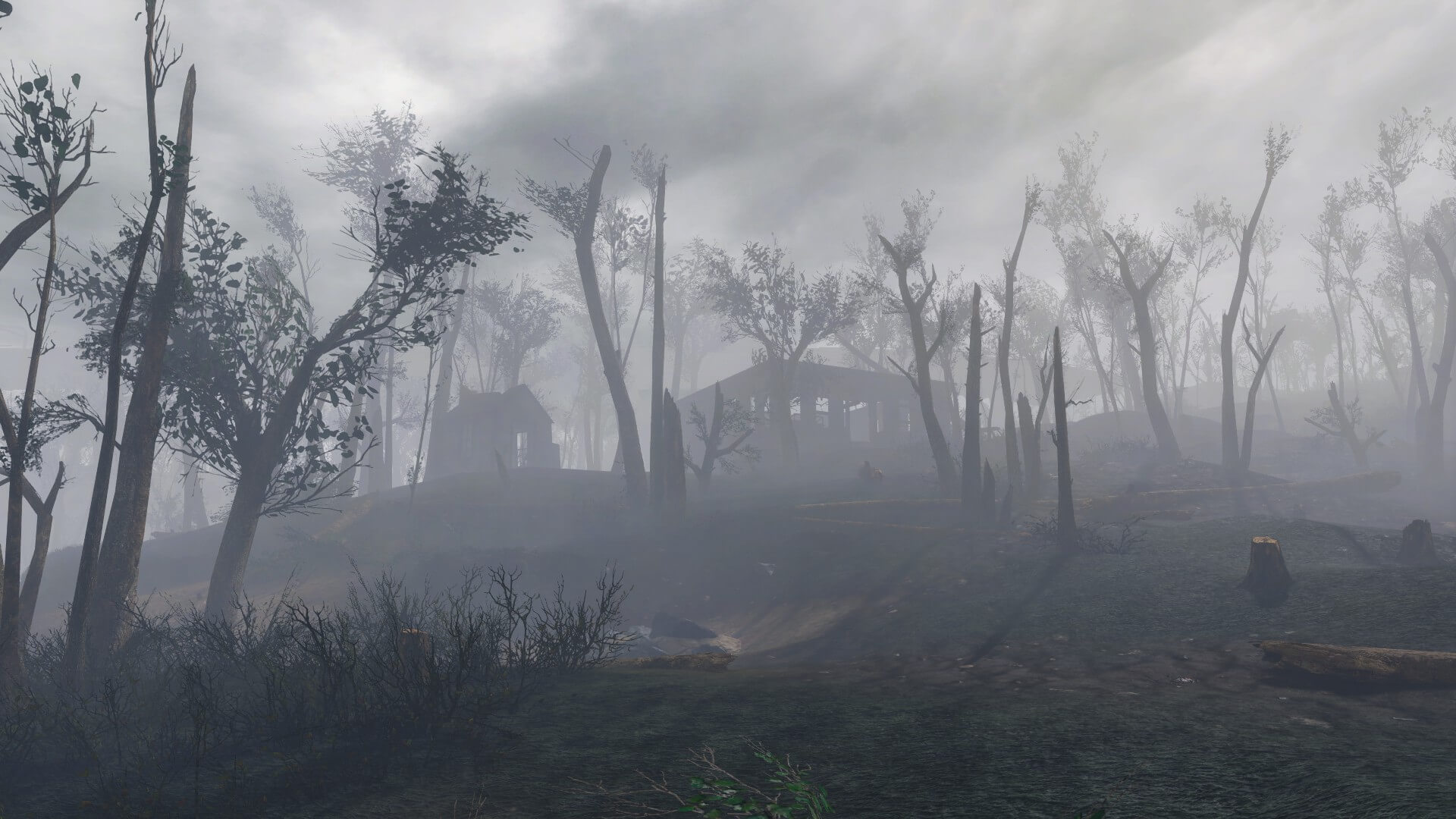 Fallout 4 во время дождя фото 108
