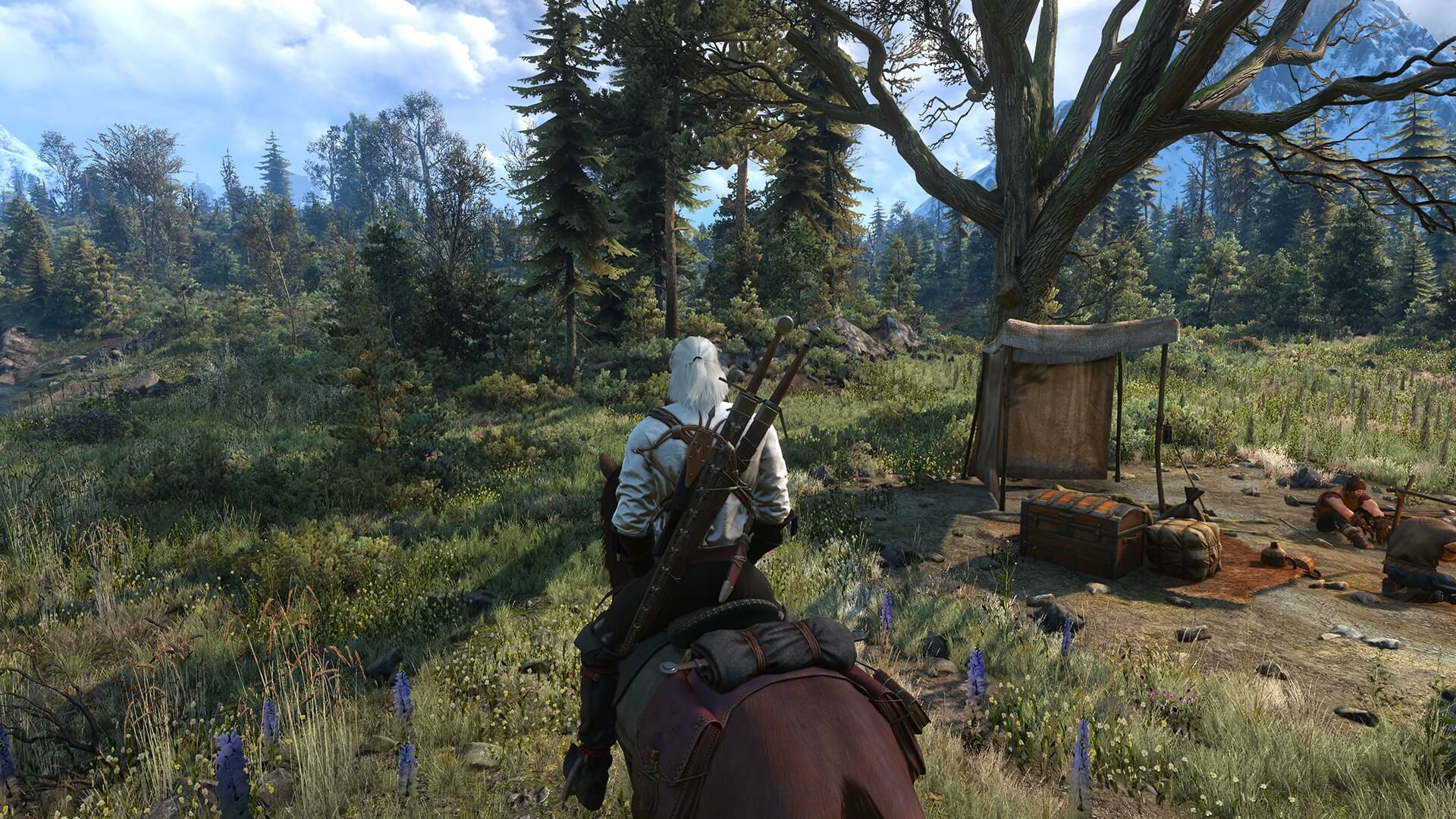 Fps для the witcher 3 фото 56