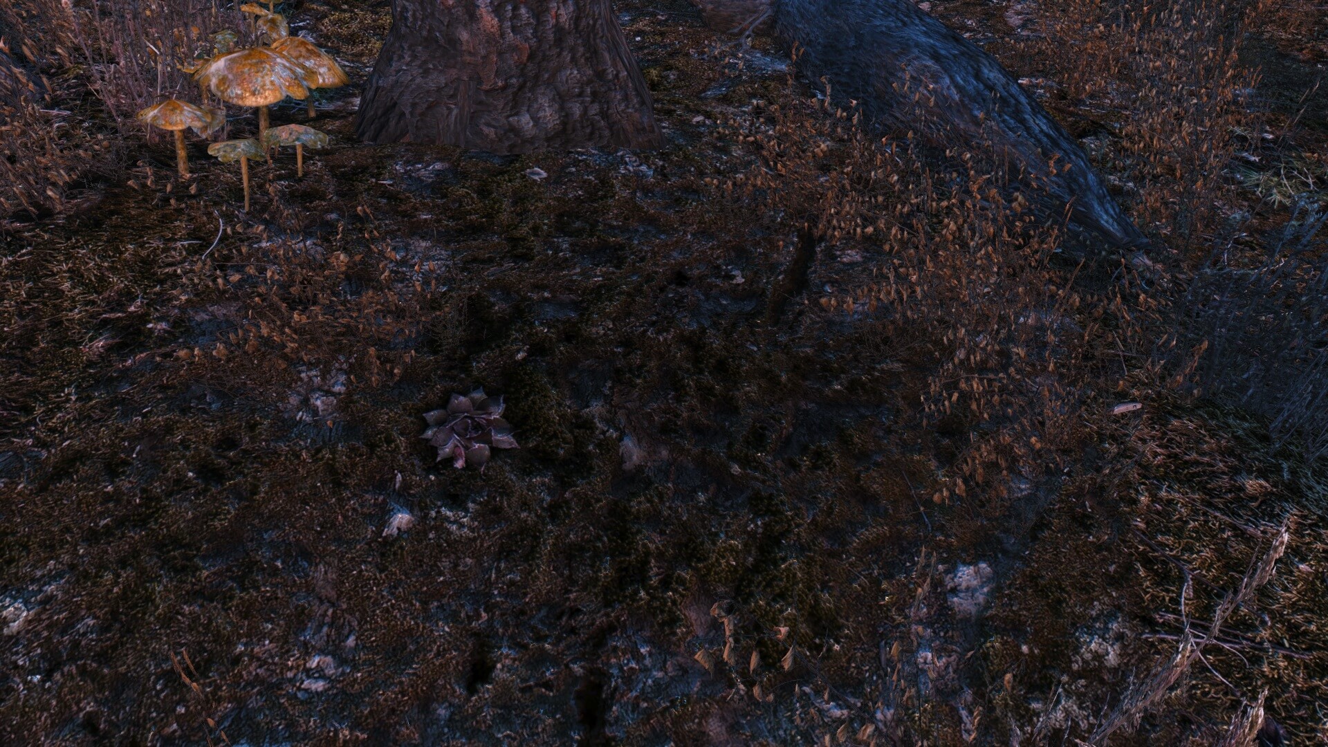 Fallout 4 идеальные текстуры ландшафта фото 94