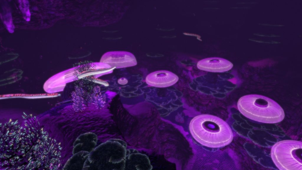 Пещеры медузных грибов