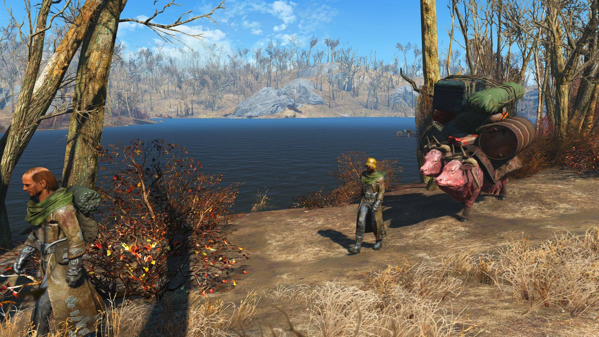 Fallout 4 уникальные поселенцы фото 95