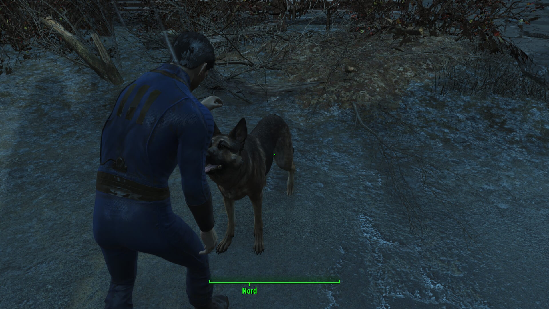 Fallout 4 отпустил собаку где она фото 90