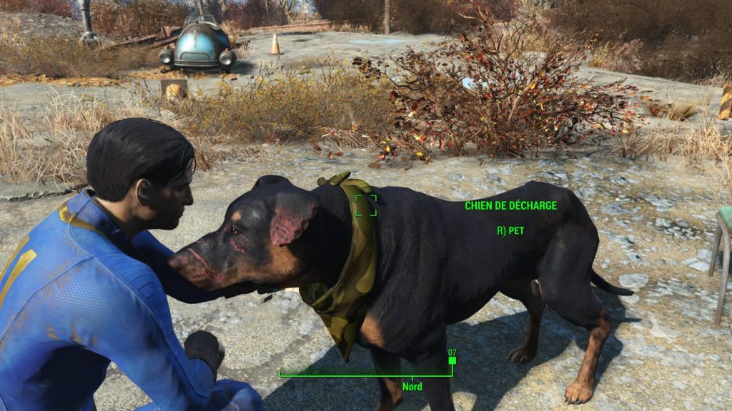 Мод для Fallout 4 позволяет гладить собак