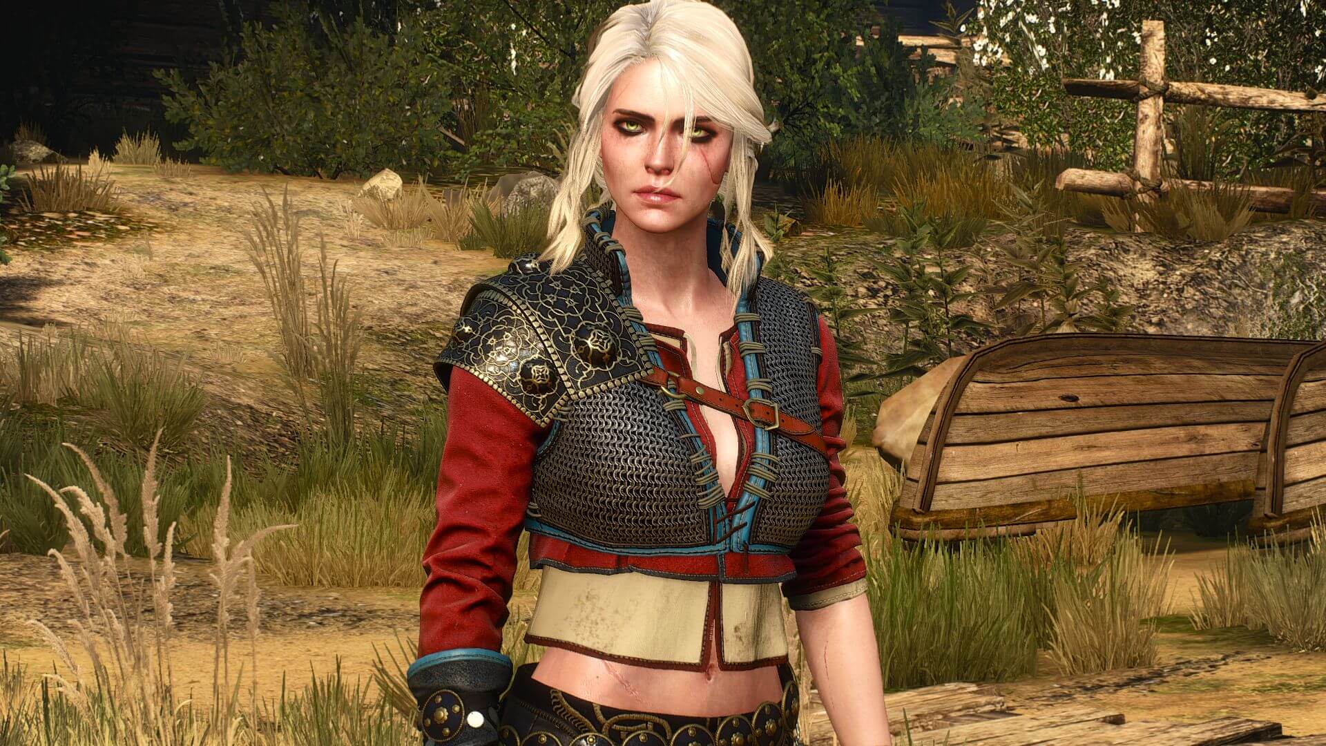 New quest the witcher 3 фото 74