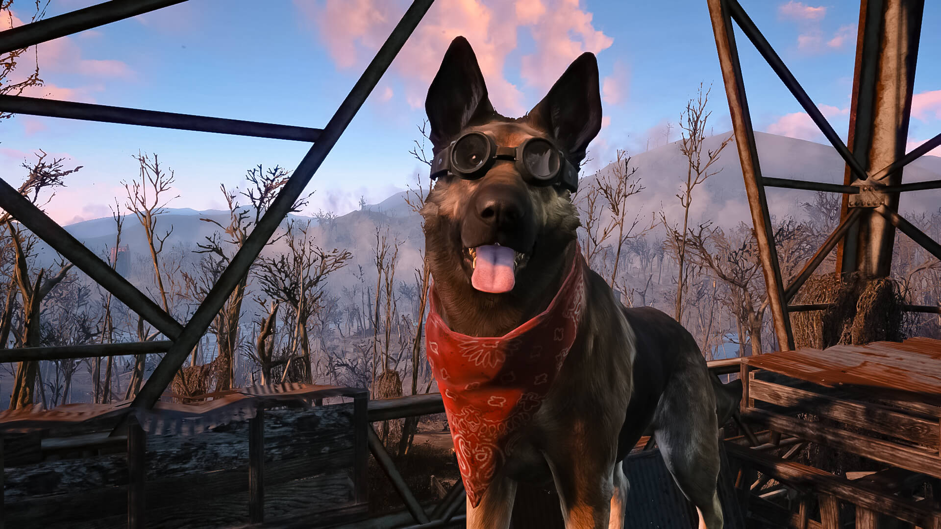 Fallout 4 боевой пес фото 10