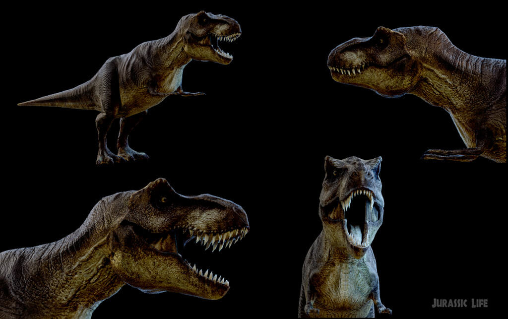 Модель T-Rex из мода Jurassic Life для Half-Life 2