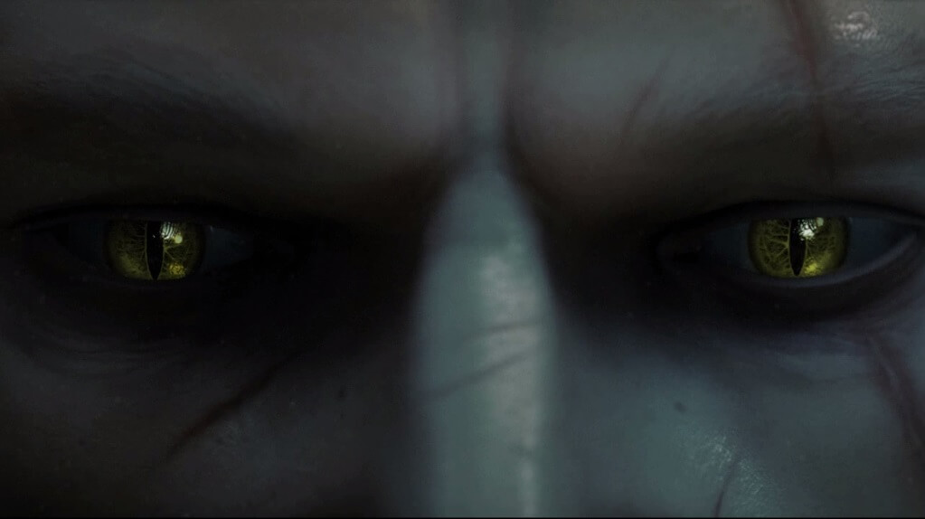 Catlike Eyes For All Witchers
