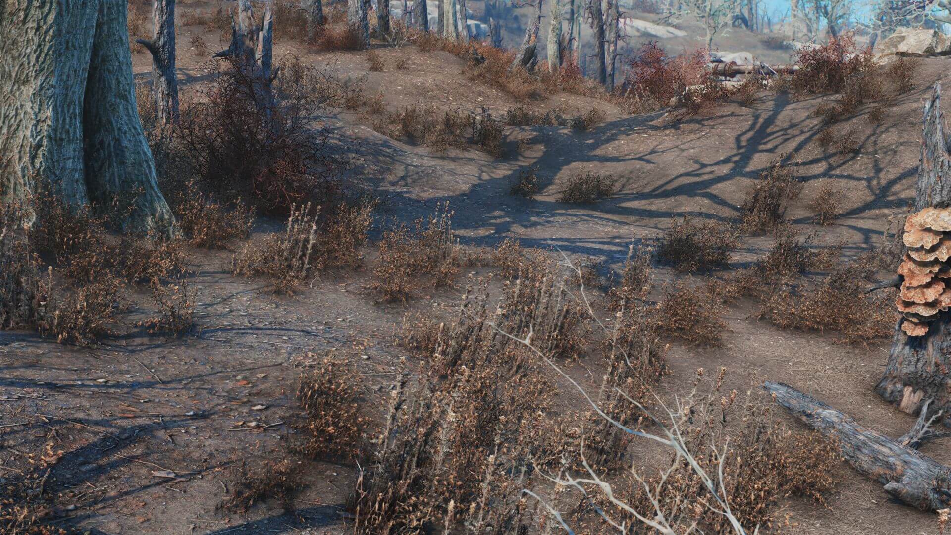 Fallout 4 hd texture pack сравнение фото 81
