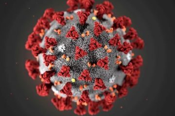 Игроки помогут учёным бороться с коронавирусом