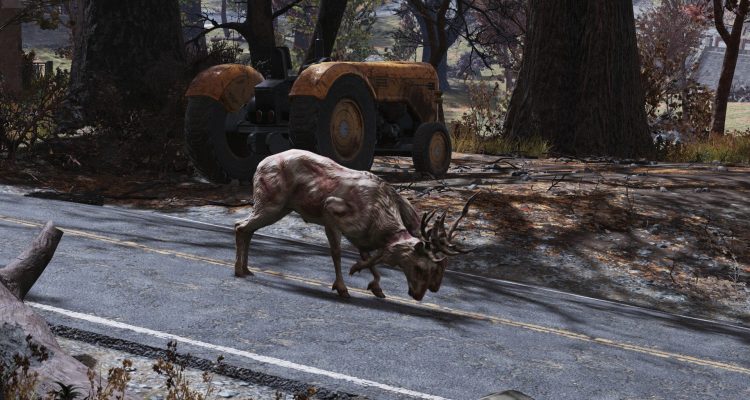 В Fallout 76 олень привел игроков к сокровищу