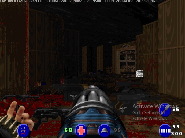 Brutal Wolfenstein FE Version 14, также известная как Wolfenstein X