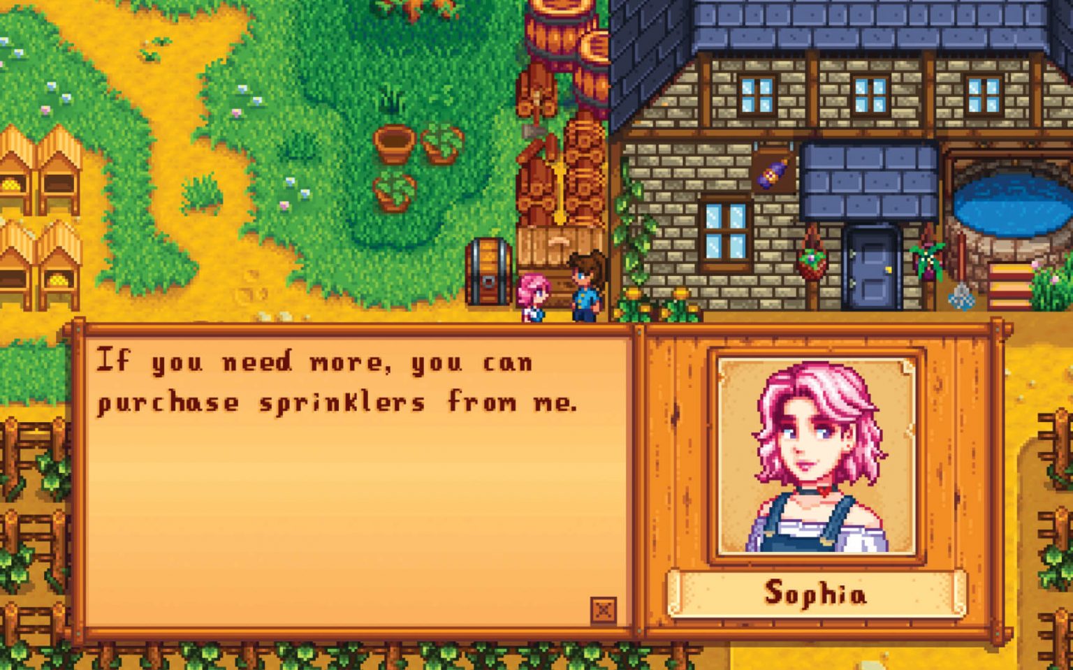 Stardew valley где купить одежду