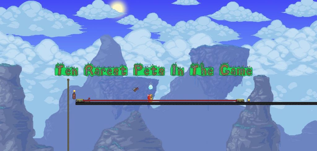 10 редчайших питомцев в Terraria
