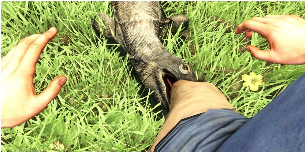 Far Cry: 10 животных, которых сложнее всего убить