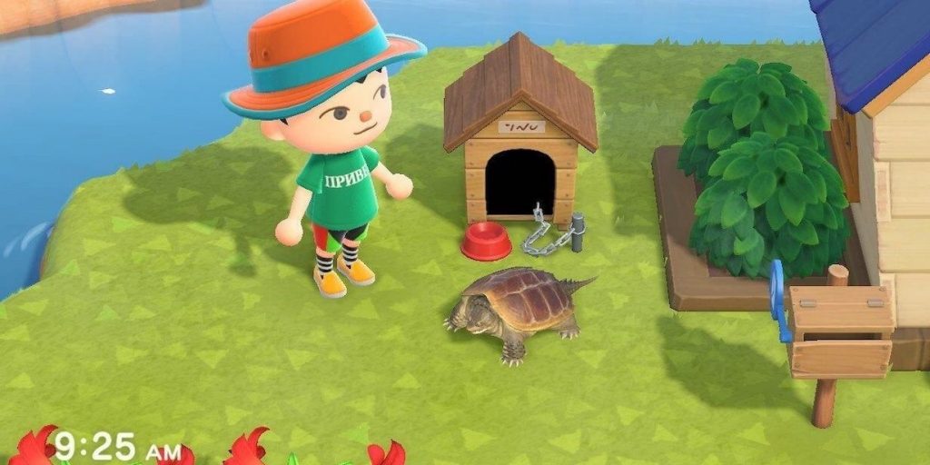 Щёлкающая черепаха – Animal Crossing: New Horizons