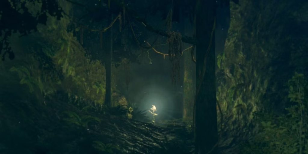 10 лучших игровых уровней в лесу