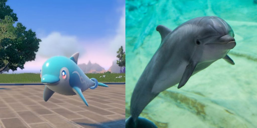 Финизен – это дельфин