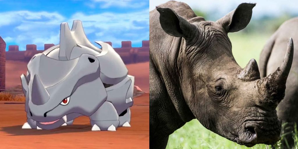 Райхорн – это носорог